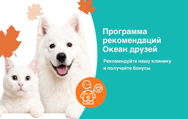 Новая программа рекомендаций