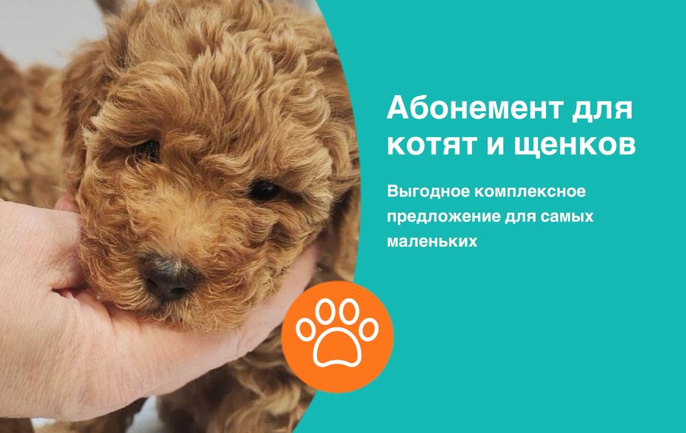 Абонемент “Первый визит”