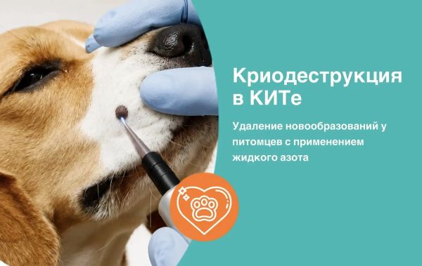 Отличная новость!