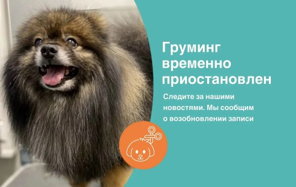 Важная информация: временная приостановка услуг груминга