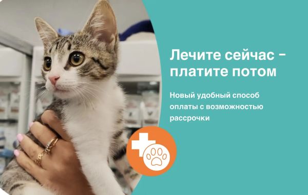 Рассрочка в КИТ