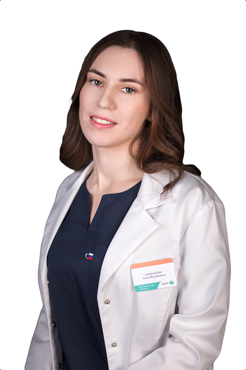 Косенкова Анна<br>Михайловна
